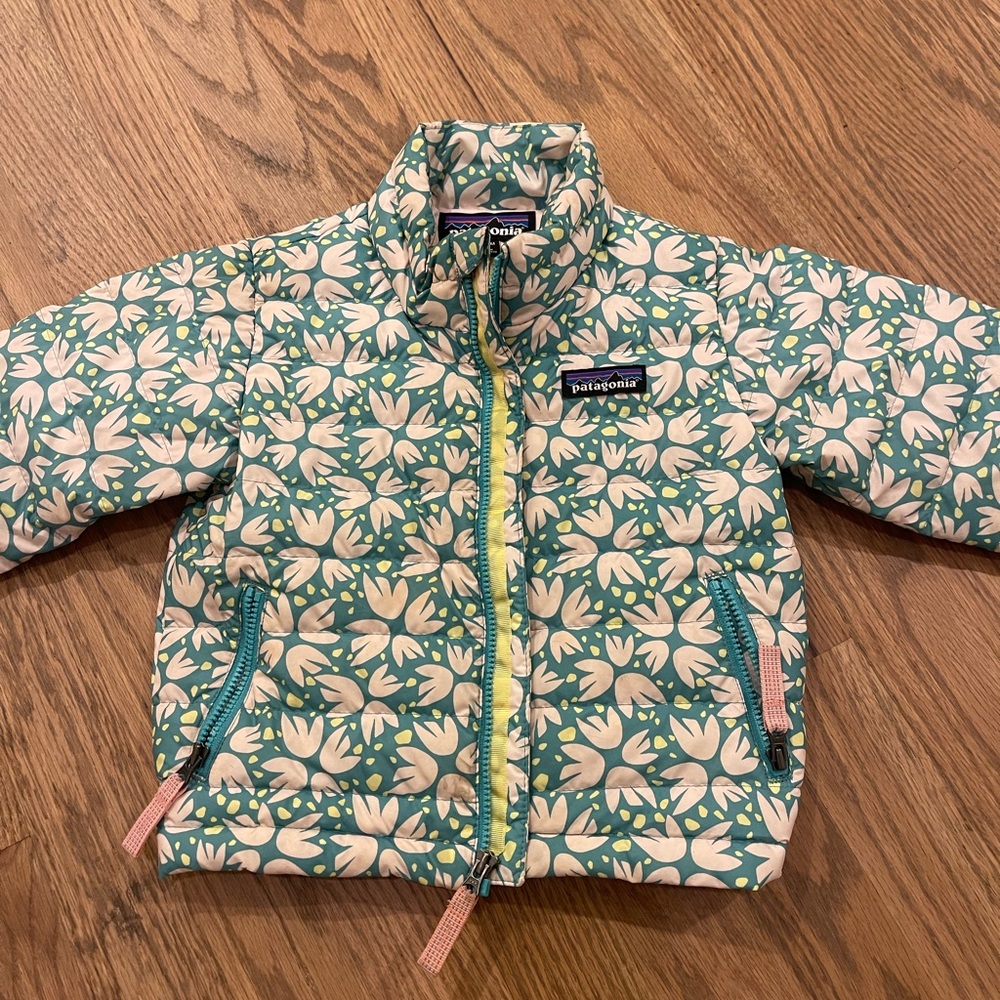 Patagonia Down Jacket